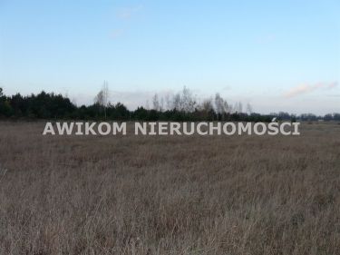 Sierakowice Lewe, 300 000 zł, 1.12 ha, rolna
