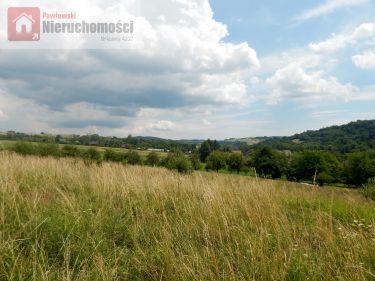 Lanckorona, 200 000 zł, 42.31 ar, droga dojazdowa asfaltowa