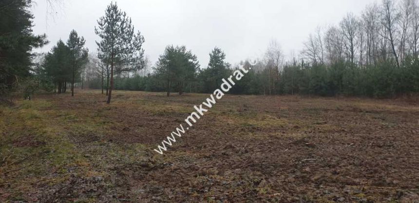 MPZP | Wszystkie media | Działki po 1000m2 | Super miniaturka 3