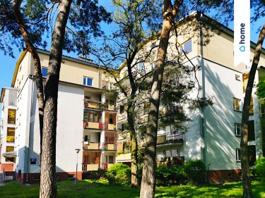 > > Duże 2-poziomowe mieszkanie, 2 łazienki, garaż