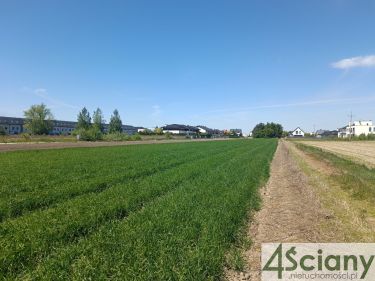 Zgorzała, cicha, ustawna  MPZP