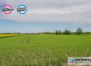 Gdańsk Niegowo, 996 000 zł, 66.15 ar, rolna miniaturka 7