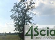 Wieliszew, 350 000 zł, 10 ar, prostokątna miniaturka 3