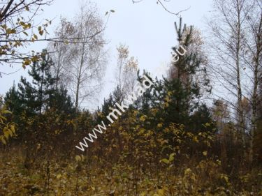 Jesionka, 549 900 zł, 23.4 ar, prostokątna
