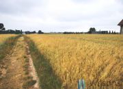 Józefów-Pociecha, 744 000 zł, 62 ar, budowlana miniaturka 5