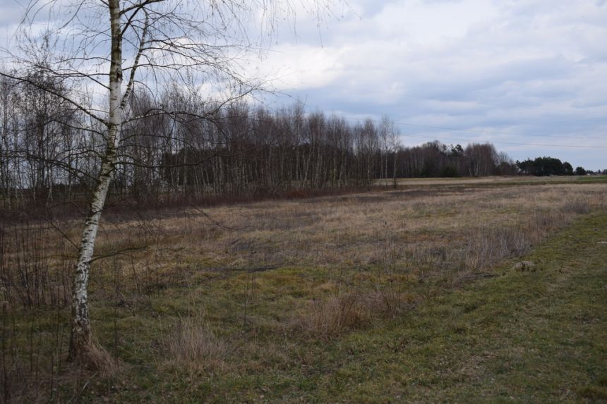 Działka pod zabudowę 55a- Przewrotne miniaturka 8