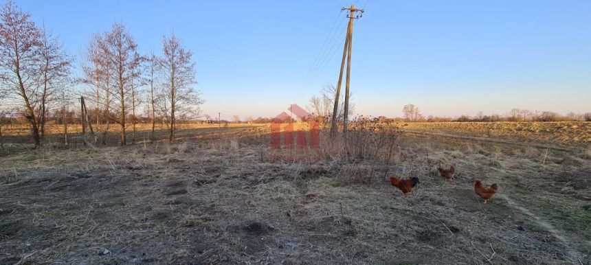 Na sprzedaż działka z domem oraz polem o dużej powierzchni w atrakcyjnej cenie. miniaturka 8