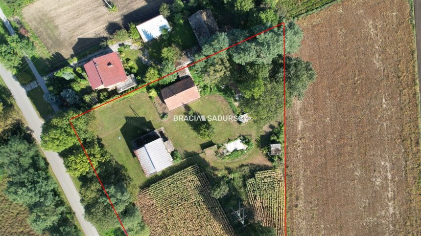Sieradzice gmina Kazimierza Wielka 2 domy miniaturka 15