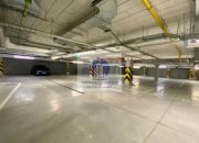 Wawer: biuro/usługi 269,70 m2 miniaturka 8