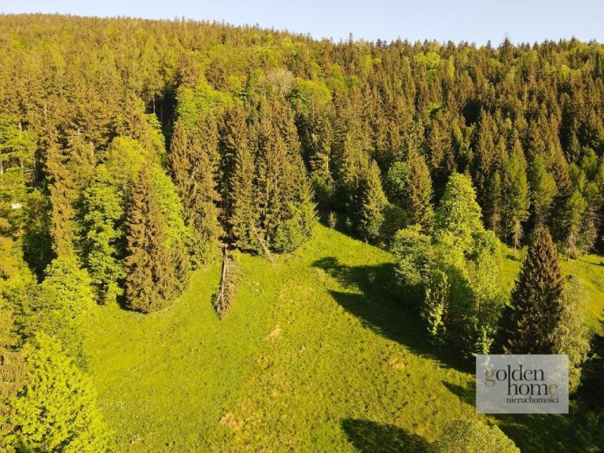 Kletno, 1 990 000 zł, 1.94 ha, przyłącze prądu miniaturka 12