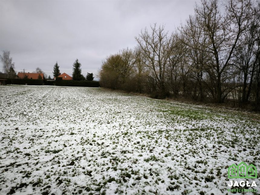 Piękna działka Gruczno 7800m2 miniaturka 6