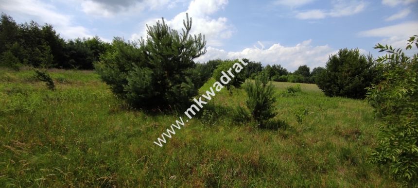 Wyjątkowa Działka rolna do podziału na budowlane! miniaturka 4