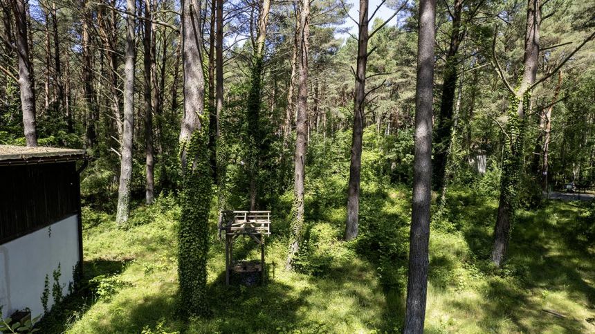 Działka budowlana - Dębki miniaturka 8