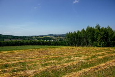 Działka rolno-budowlana w Gromniku!