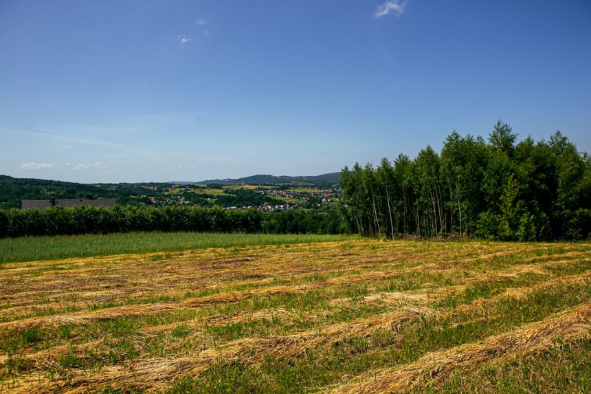 Działka rolno-budowlana w Gromniku! - zdjęcie 1