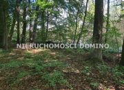 Dobra, 42 000 zł, 5.01 ar, woda w drodze miniaturka 3