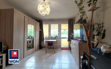 Legnica, 325 000 zł, 41.1 m2, z balkonem