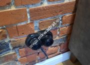 Apartament dla wielbiciela niebanalnych miejsc! miniaturka 15