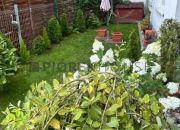 3-pokojowe mieszkanie w Ząbkach/ balkon/ ogródek miniaturka 6