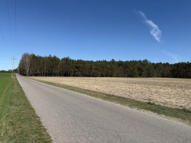 Skórka, 116 025 zł, 15.47 ar, droga dojazdowa asfaltowa