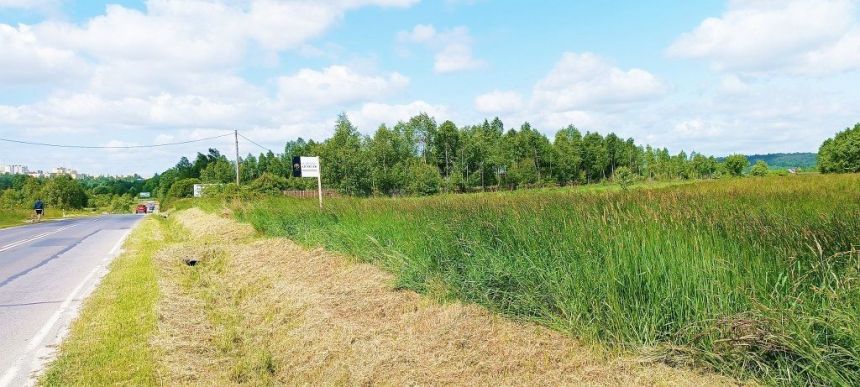 Działka 10000 Dąbrowa miniaturka 4