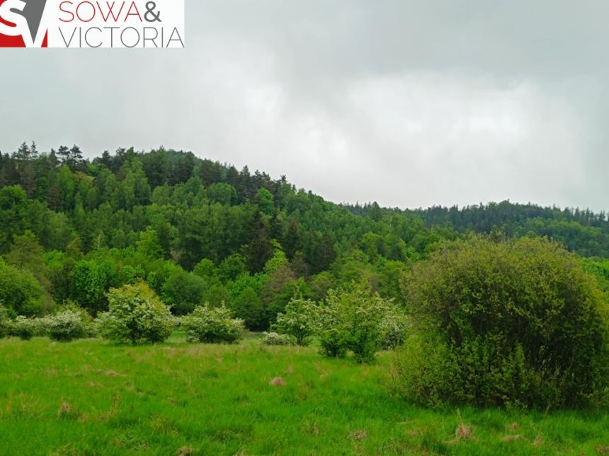 Widok na góry ,  piękny drzewostan. Przy lesie ! miniaturka 3