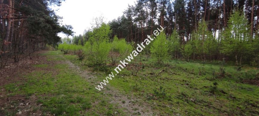 Piękna działka otoczona lasem 2 316 m2, Czarny las miniaturka 9