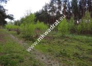 Piękna działka otoczona lasem 2 316 m2, Czarny las miniaturka 9
