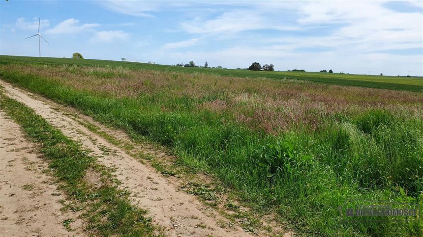 Działki budowlane ok. 20 km Bałtyku i Kołobrzegu - miniaturka 11