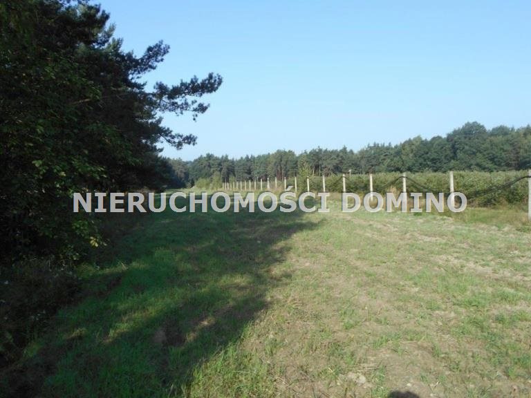 Bronowice, 218 000 zł, 68 ar, rolna z prawem zabudowy - zdjęcie 1