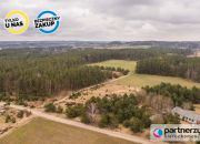 Kamień, 894 000 zł, 49.76 ar, droga dojazdowa utwardzona miniaturka 7
