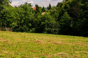 Na sprzedaż: działka 40 arów Zawada Lanckorońska