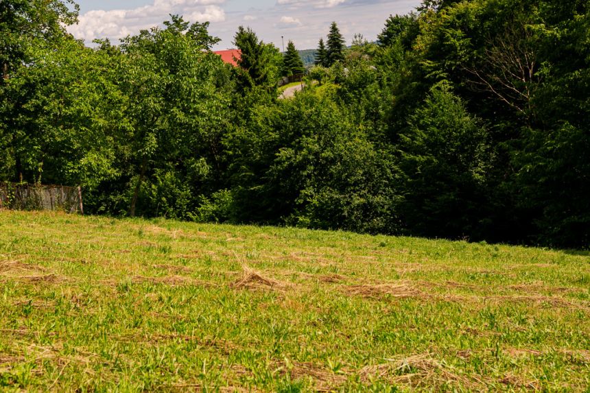 Na sprzedaż: działka 40 arów Zawada Lanckorońska - zdjęcie 1
