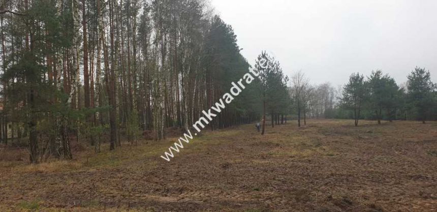 MPZP | Wszystkie media | Działki po 1000m2 | Super miniaturka 2
