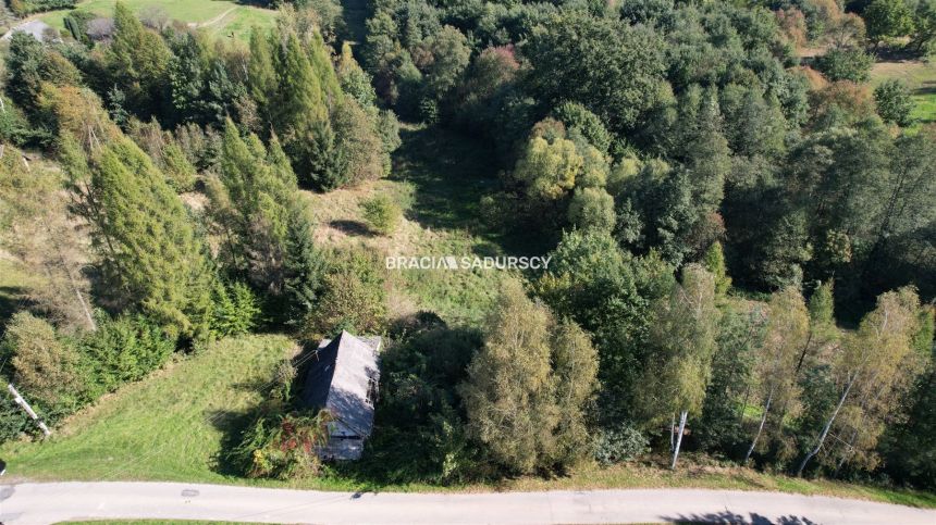 Poręba Żegoty, gmina Alwernia. miniaturka 10
