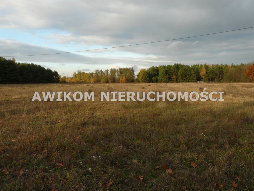 Puszcza Mariańska, 84 000 zł, 12 ar, budowlana miniaturka 7