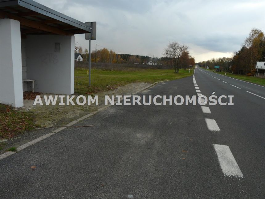 Lisowola, 583 400 zł, 5.83 ha, rolna miniaturka 11