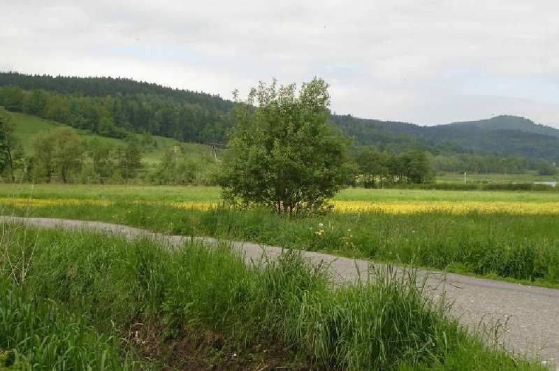 Grunt  na sprzedaż, Sosnówka, 1865.00 m2 miniaturka 7