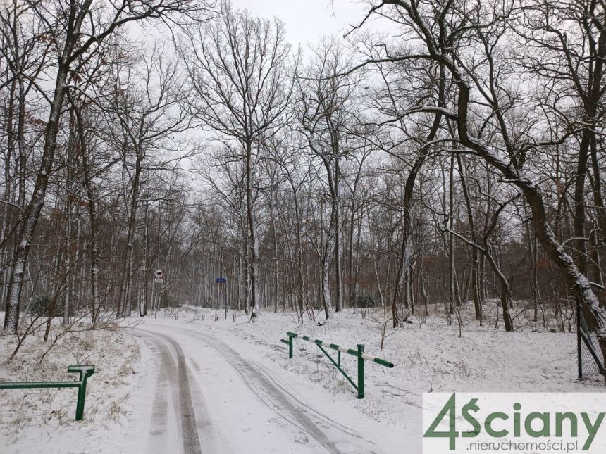 WARUNKI ZABUDOWY blisko lasu. Jest komunikacja! - zdjęcie 1