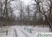 WARUNKI ZABUDOWY blisko lasu. Jest komunikacja! miniaturka 1