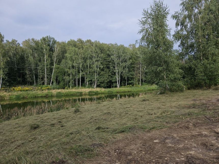 Stare Skoszewy, 599 000 zł, 15.33 ar, droga dojazdowa utwardzona miniaturka 1