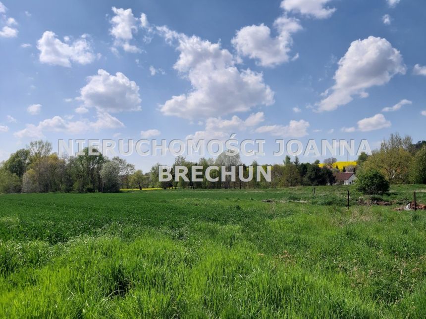 Krzyżowa, 395 000 zł, 1.49 ha, przyłącze wodociągu miniaturka 7
