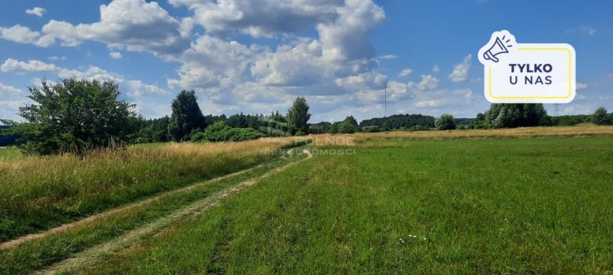 Dzaiłka rolna. Dobrzyniewo Kościelne. - zdjęcie 1