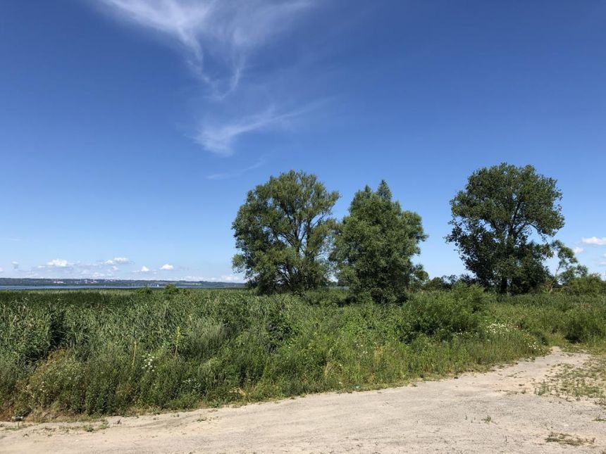 Tanie działki nad Jeziorem Dąbie. miniaturka 3