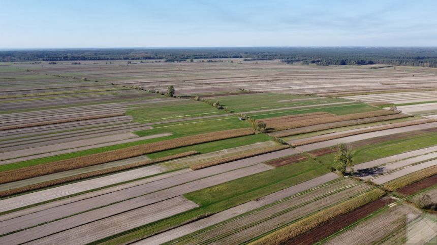 CEWKÓW - działka rolna 1,02 ha miniaturka 4