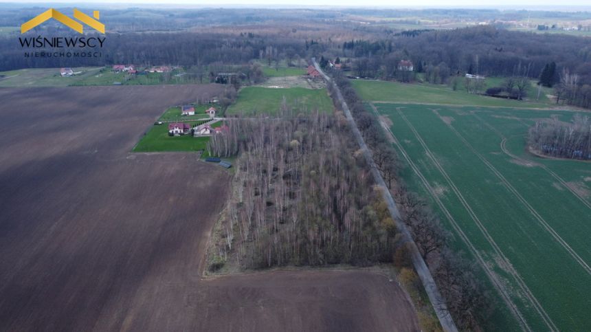 Działka z warunkami zabudowy, 0,5003 ha Dawidy miniaturka 5