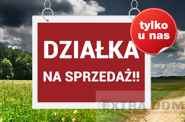 Trzebawie, 45 000 zł, 1 ha, prostokątna miniaturka 2