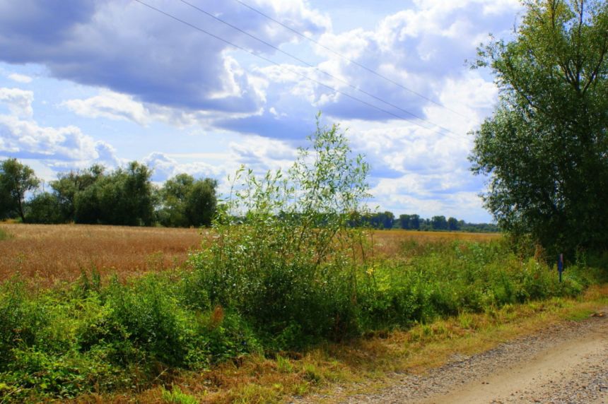 Serby, 72 000 zł, 12.05 ar, droga dojazdowa utwardzona miniaturka 7