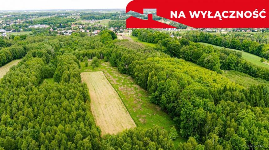 Działka rolna - 4677 m² Skrzyszów miniaturka 5