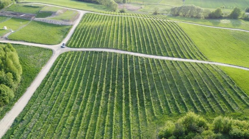 Działki nad jeziorem okolice Ełku miniaturka 7